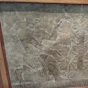 Meet your Posher, Evin